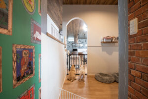 かっこいい工務店　熊本県　ブレスホーム　施工例　#8　ペットと暮らす家　アメリカン　内観　ペット　スペース