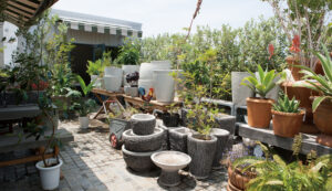 DULTON ダルトン　店舗　ガーデン＆グリーン