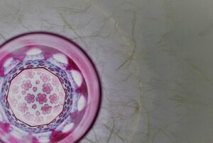 GLASS-LAB ㈱ グラス・ラボ　㈲椎名硝子　江戸切子　椎名切子　砂切子 6