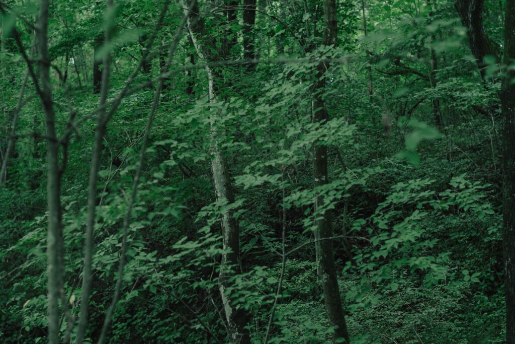 haluta ハルタ　持続可能な社会　豊かな暮らしの提案