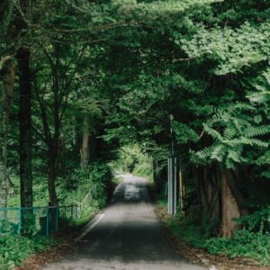 haluta　ハルタ　風景