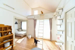 かっこいい工務店　宮城　トガシホーム　建築実例　フレンチ　猫と暮らす家　内観　キャットステップ